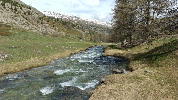 IMG_20240524_162716_293.jpg