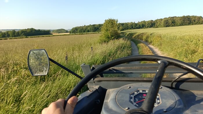 IMG_20240605_200415_034.jpg