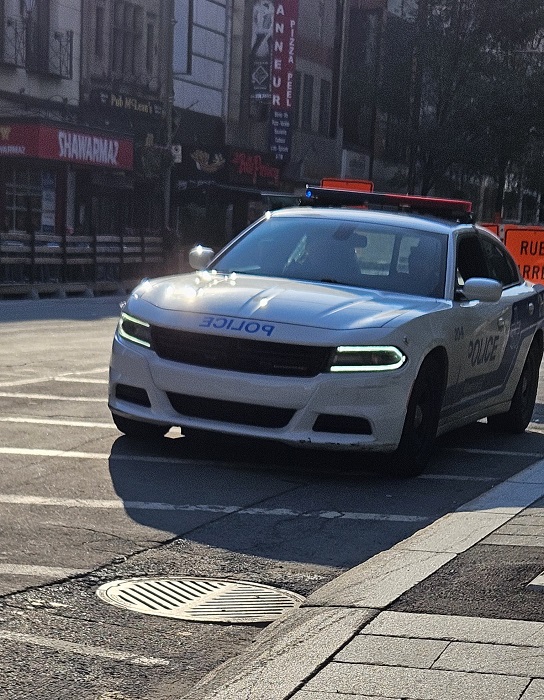 Quebec 2024 divers (1).jpg