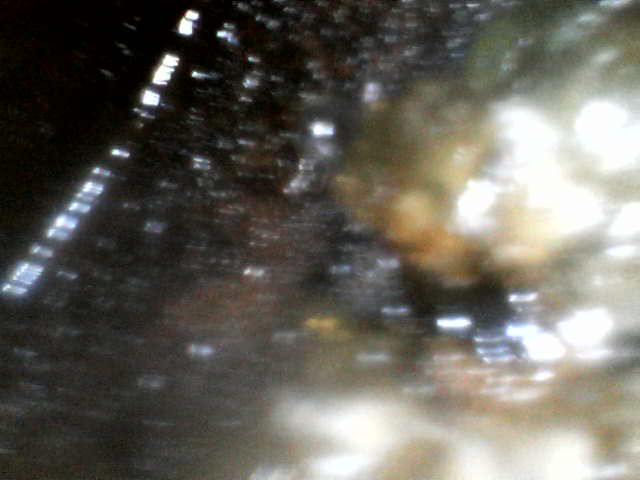 IMG00007.JPG