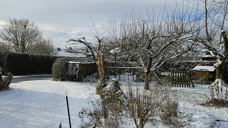 20250216_094901.jpg