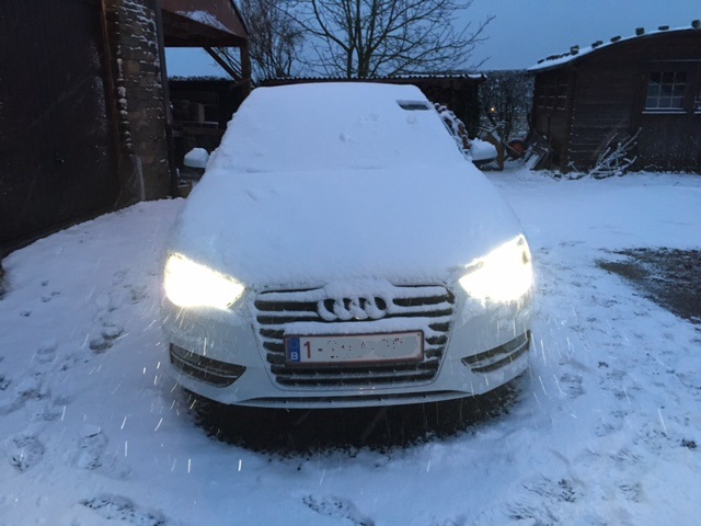 neige 15fev.JPG