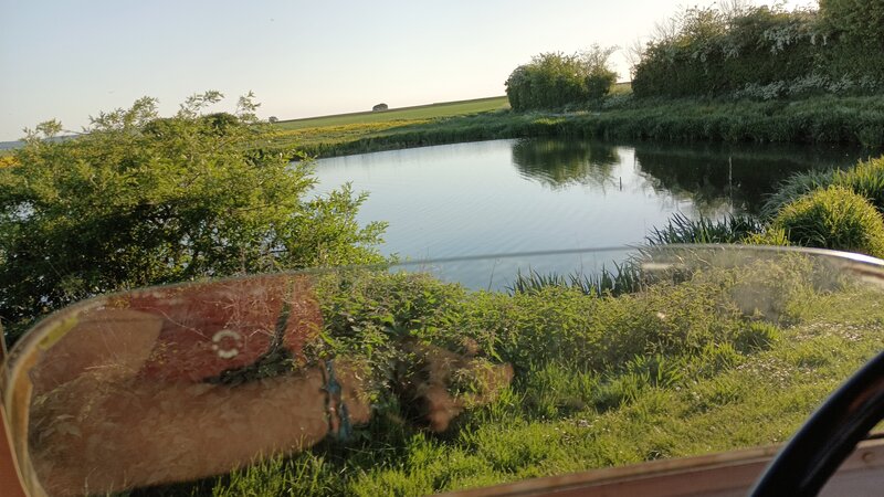 IMG_20250429_194818_526.jpg