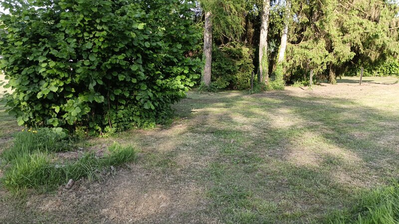 IMG_20250514_183655_938.jpg