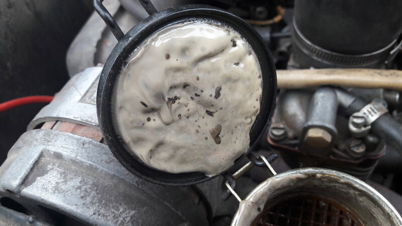 20250524_135501.jpg