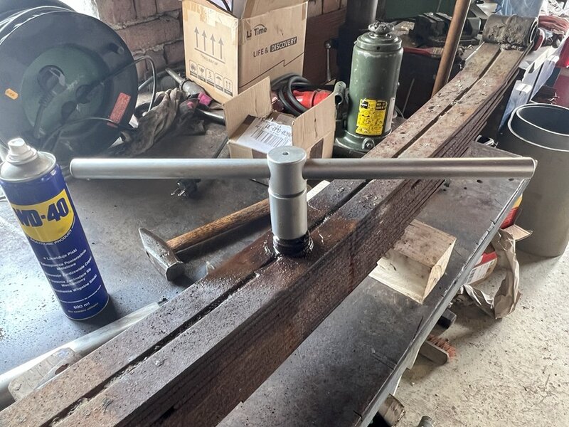 Federblatt hinten 18.jpg