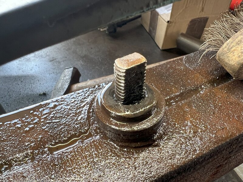 Federblatt hinten 19.jpg