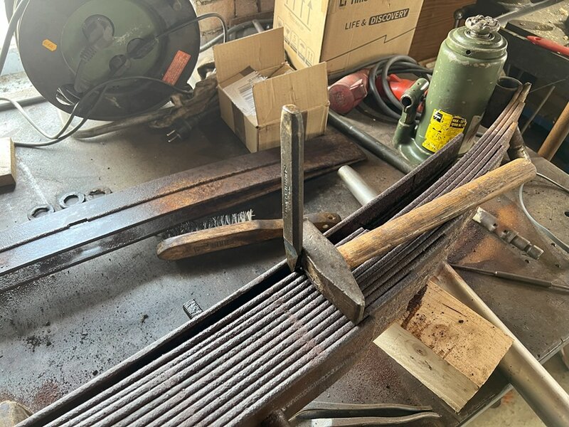 Federblatt hinten 20.jpg