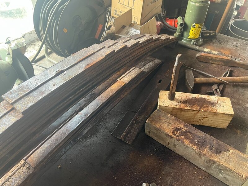 Federblatt hinten 21.jpg