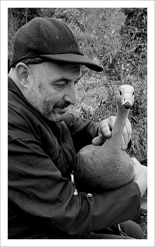 IMG-20230204-WA0001.jpg