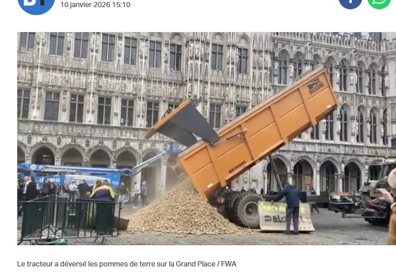 patates BXL.jpg