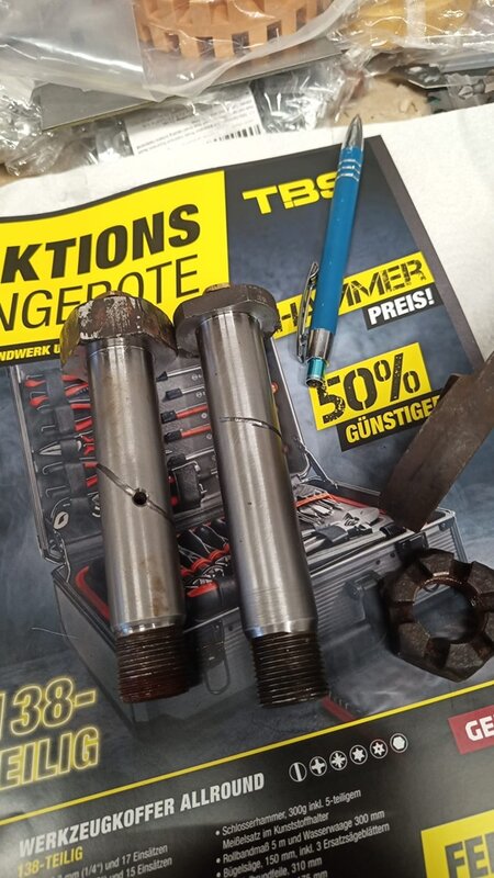 Federblatt hinten 26.jpg