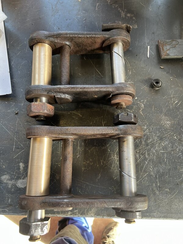 Federblattachsen 02.jpg