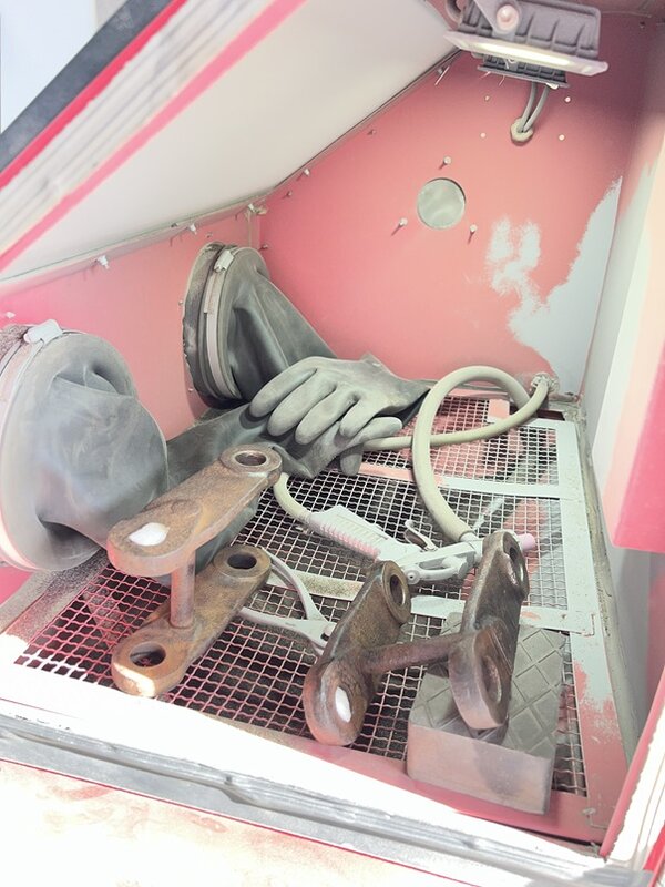 Federblattachsen 03.jpg