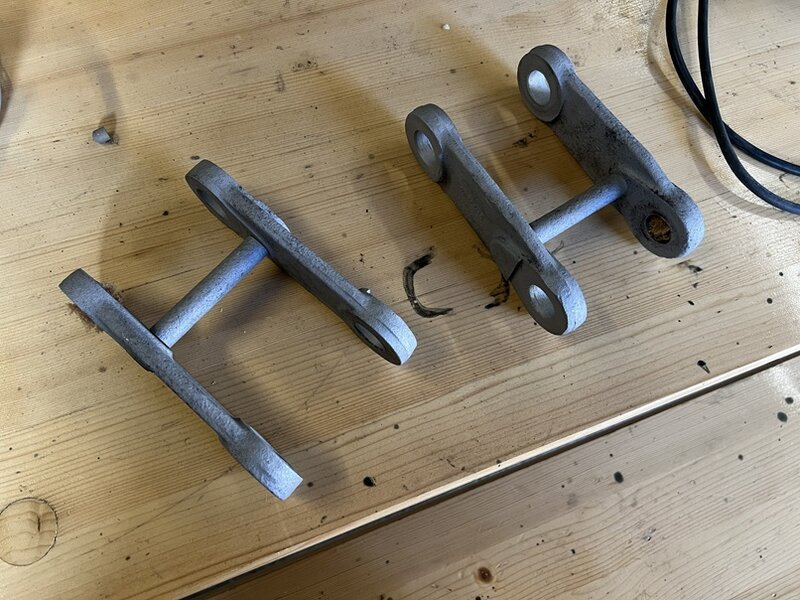 Federblattachsen 04.jpg