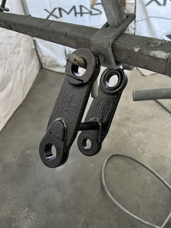 Federblattachsen 05.jpg