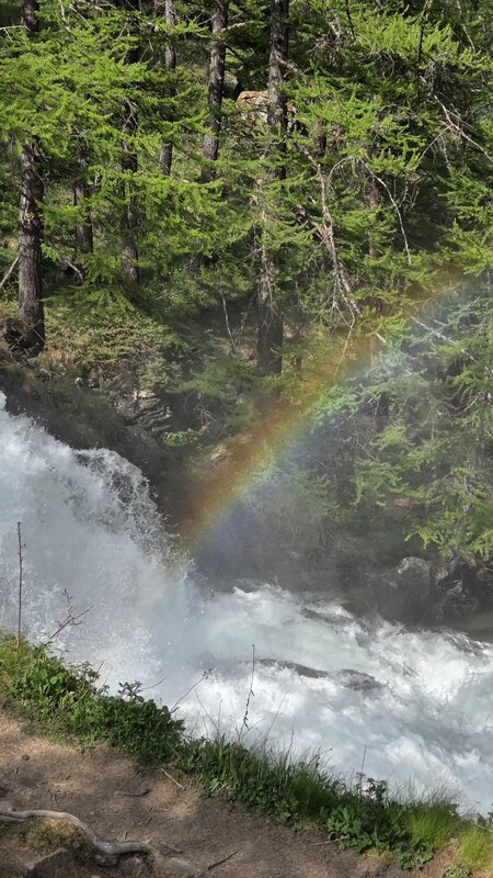 20260526_171656.jpg