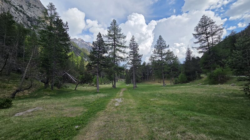 20260529_175623.jpg