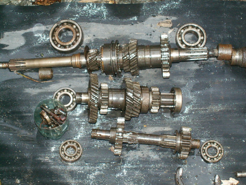 PICT7477.JPG