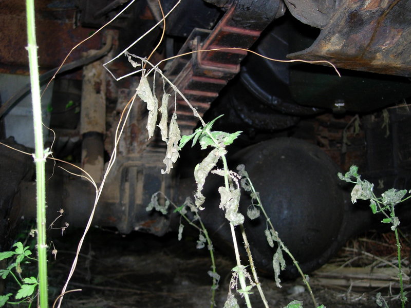 DSCN9862.JPG
