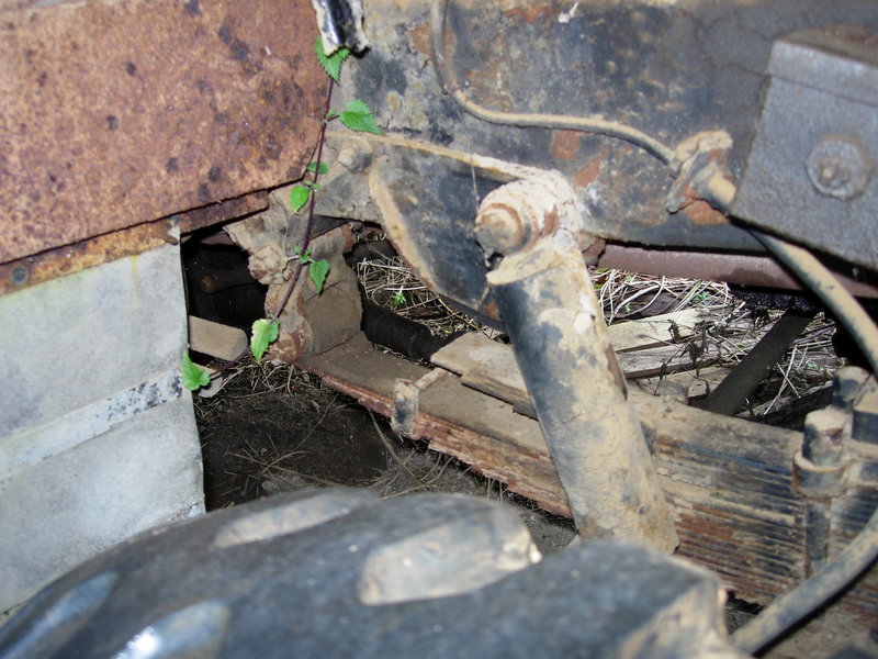 DSCN9910.JPG