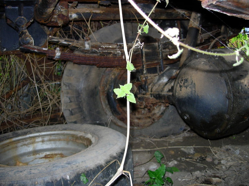 DSCN9877.JPG