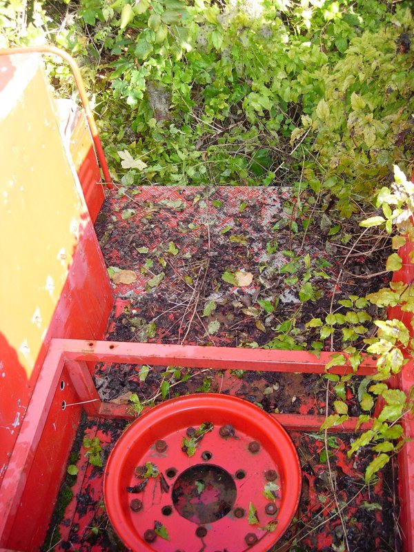 DSCN9904.JPG