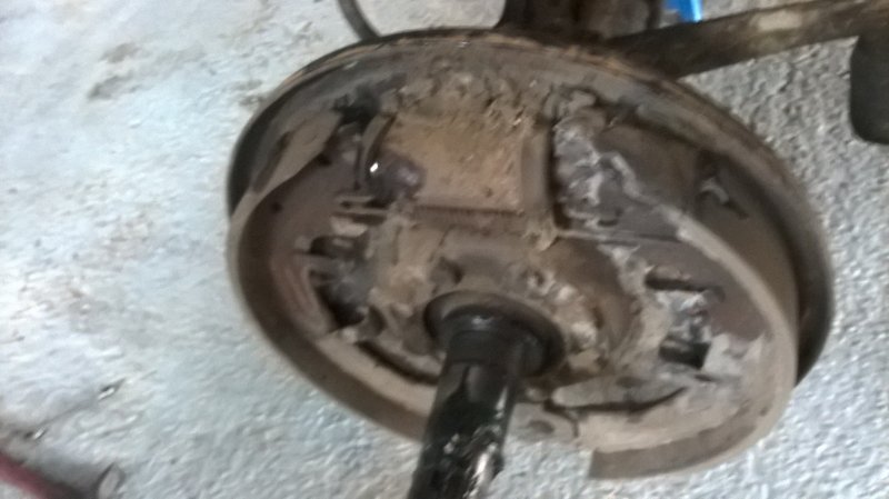 WP_20160325_006.jpg