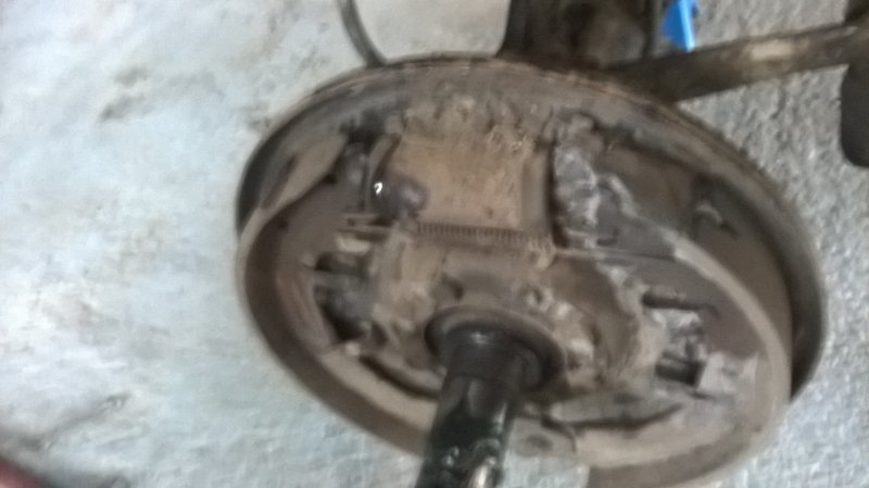 WP_20160325_005.jpg