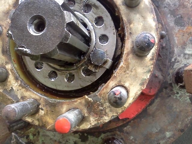 IMG20130929_003.jpg