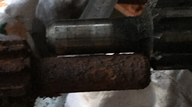 IMG_0156.PNG