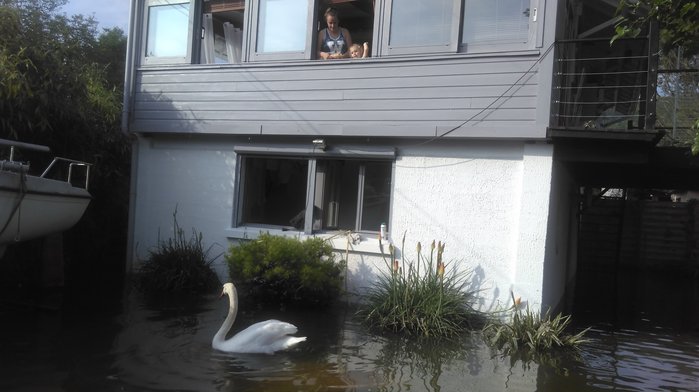IMAG0565.jpg