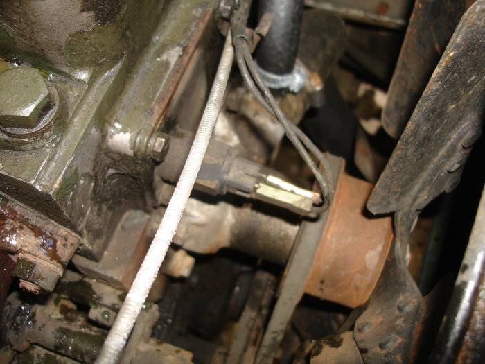 DSC03395.JPG