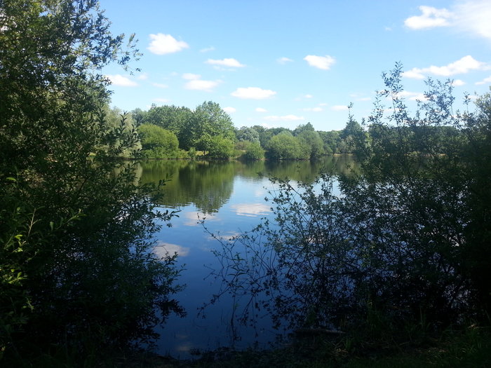 20160717_162937.jpg