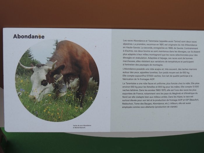 DSCN3010.JPG