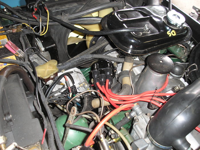 P1014244.JPG