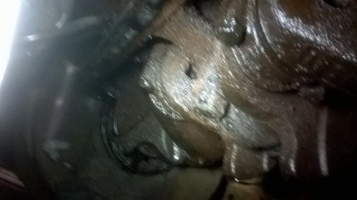 WP_20160809_007.jpg