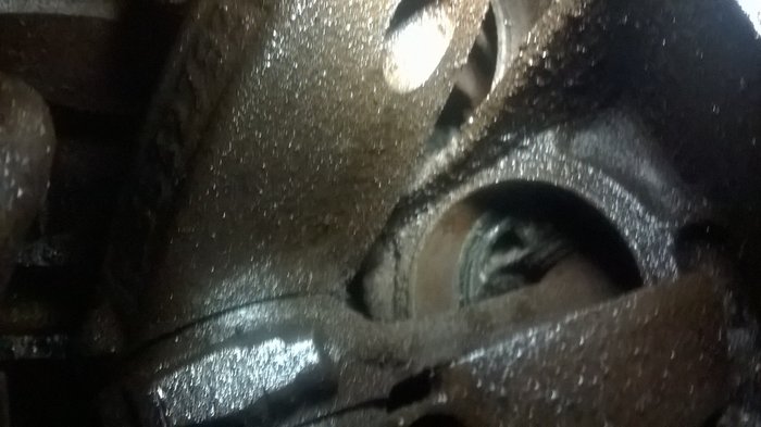 WP_20160809_009.jpg