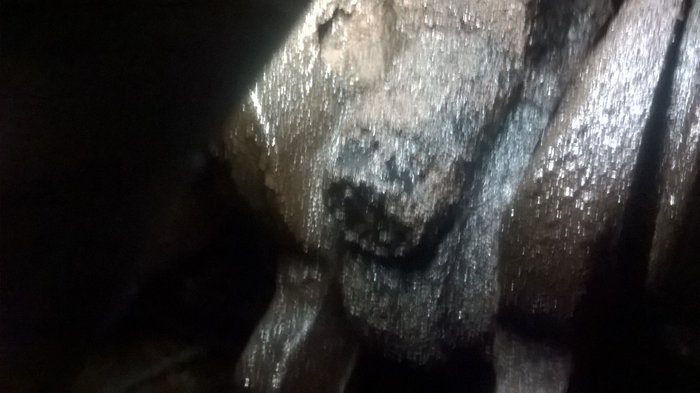 WP_20160809_011.jpg