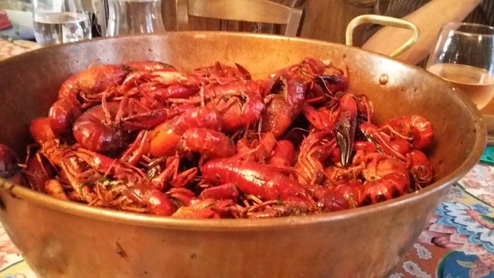 20160810_132238.jpg